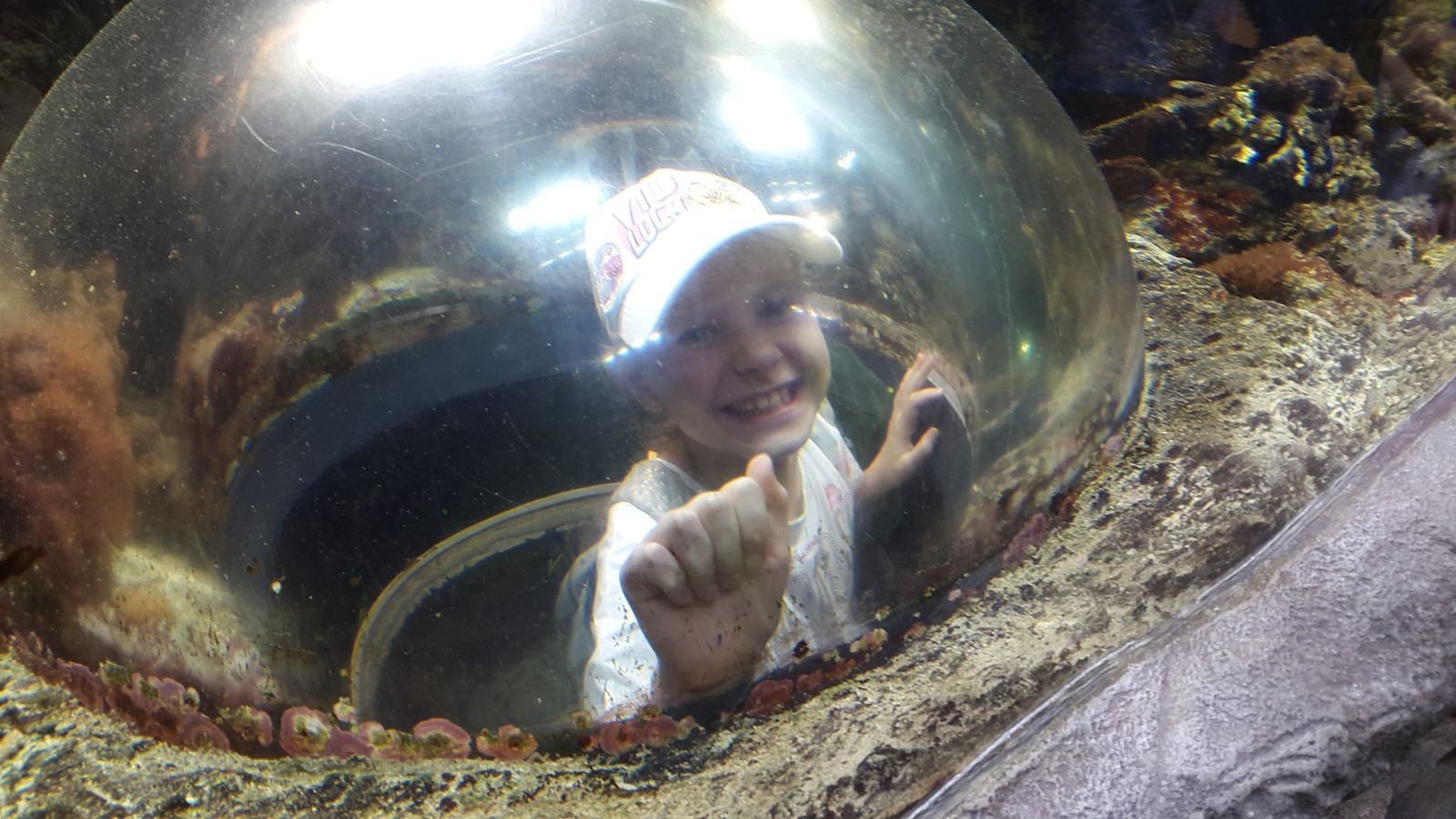 PYP2 in Haus des Meeres