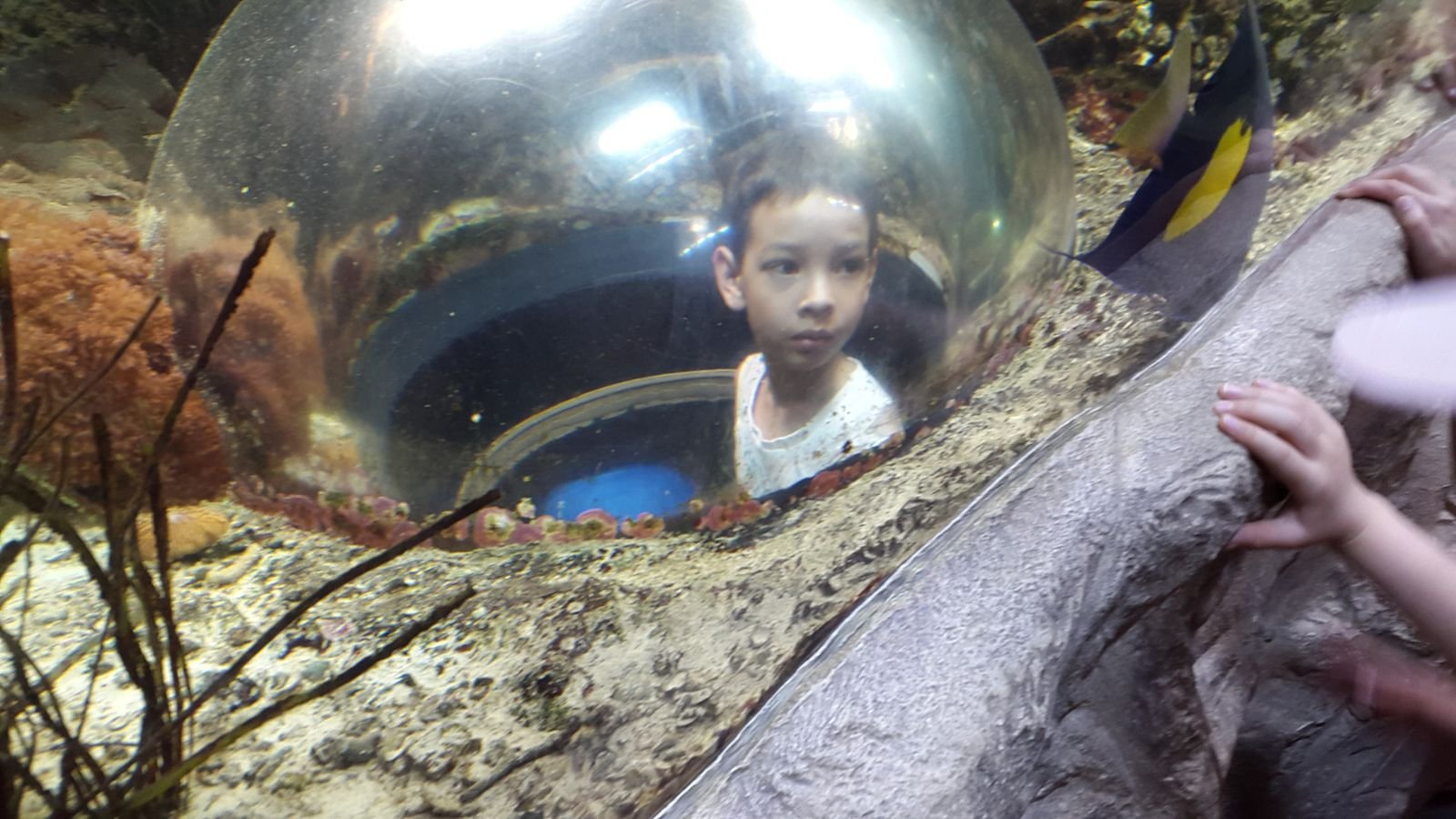 PYP2 in Haus des Meeres