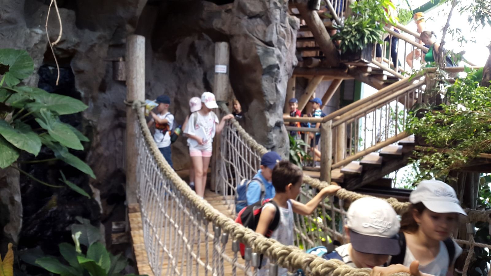 PYP2 in Haus des Meeres