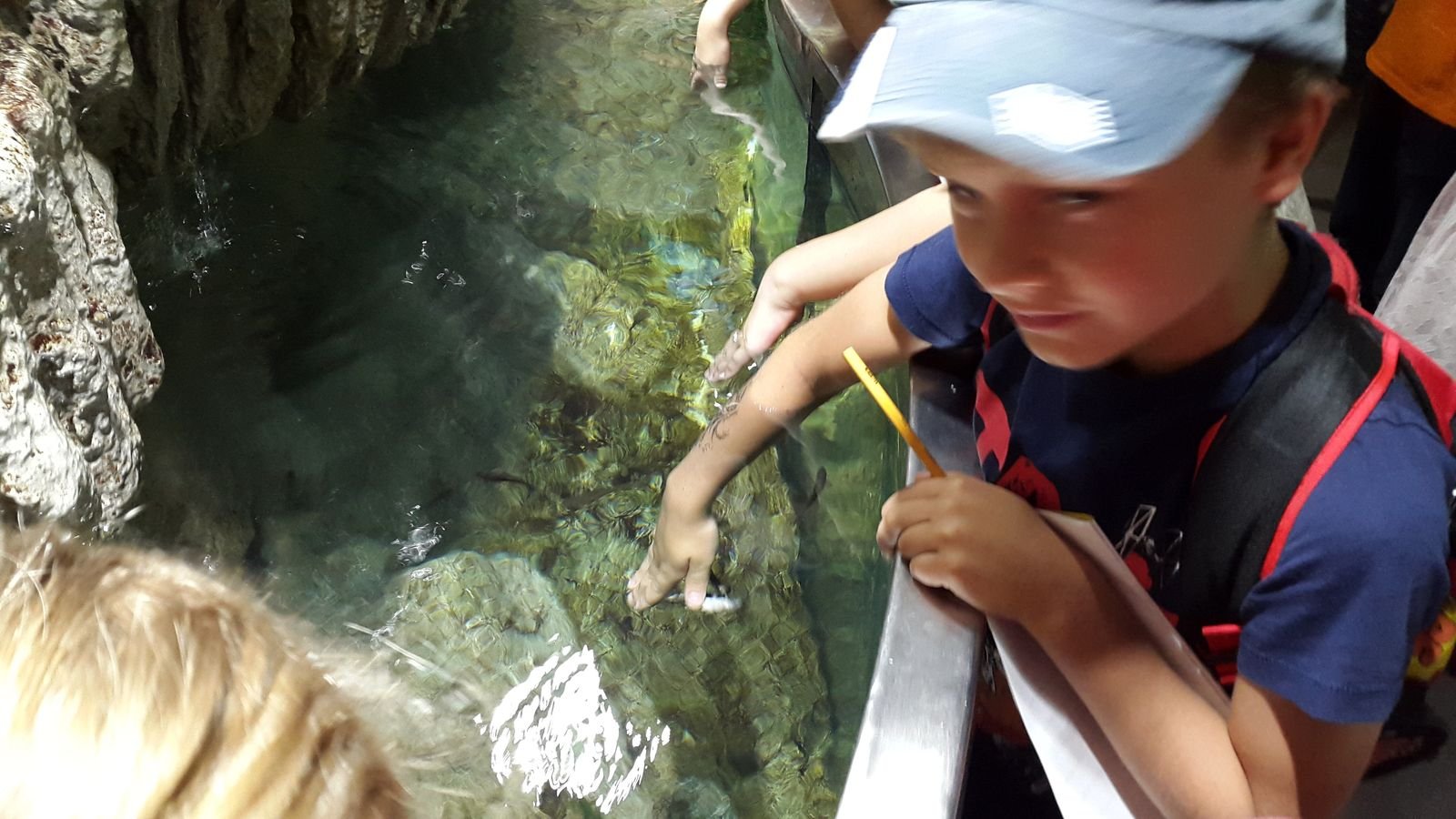 PYP2 in Haus des Meeres