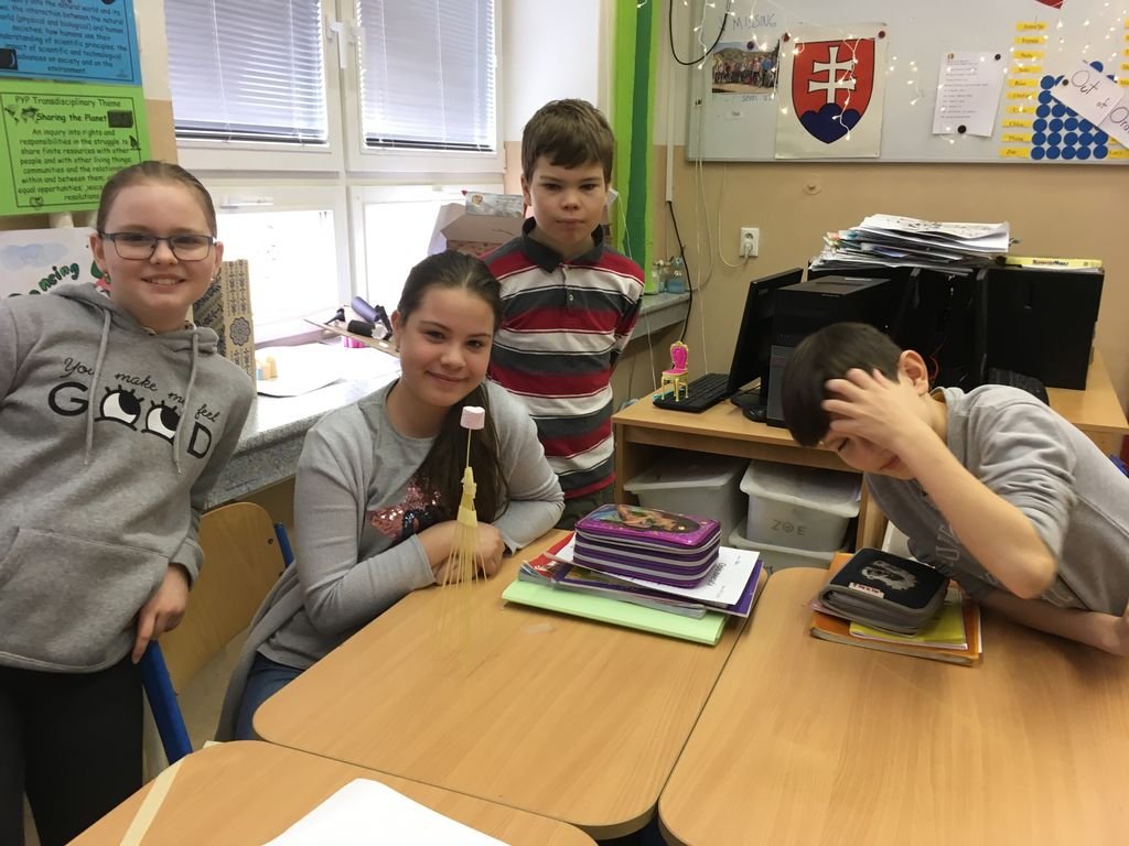 PYP 5 - Transciplinary skills March 2018