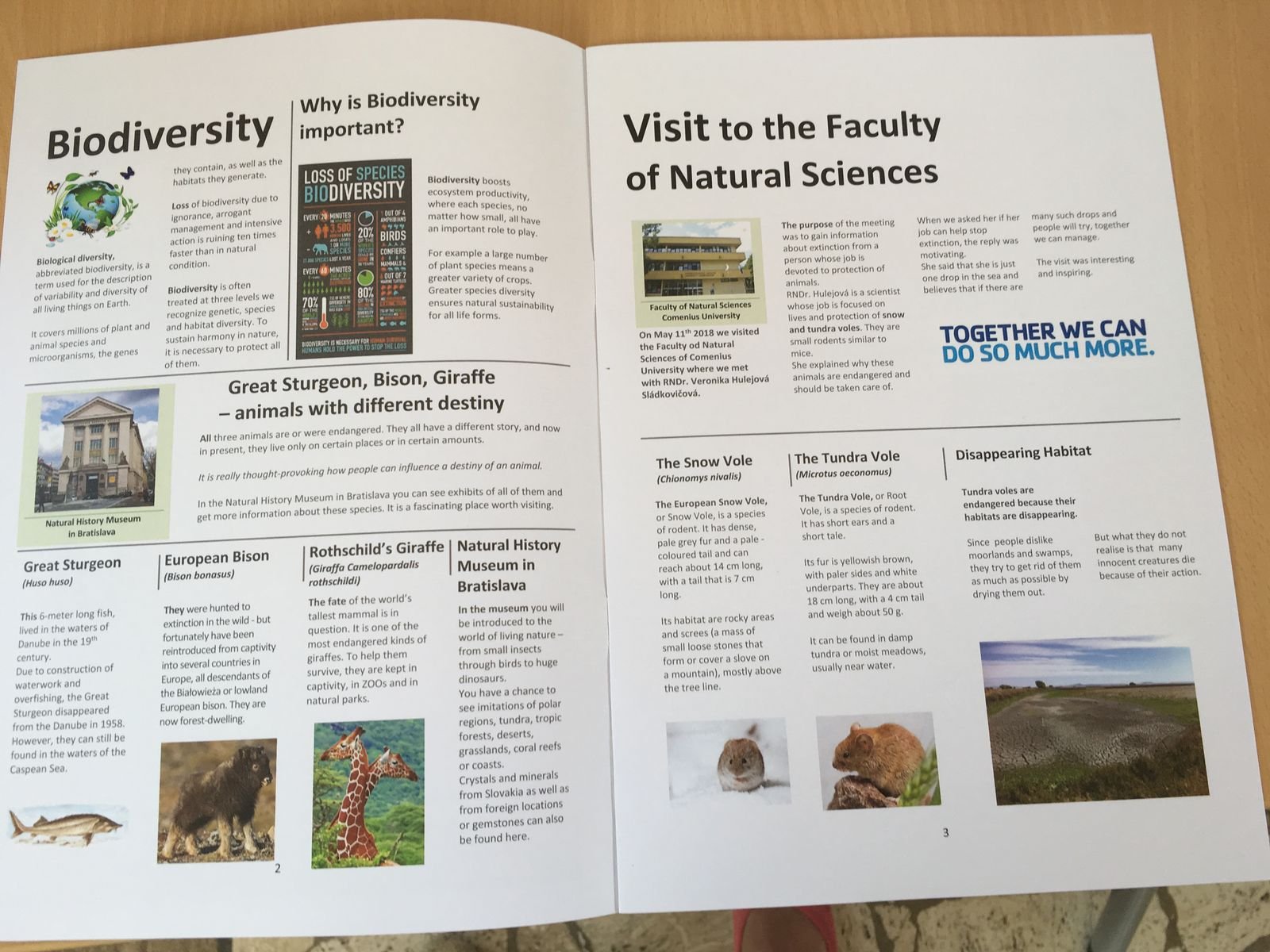 PYP 5 Exhibition Day June 2018