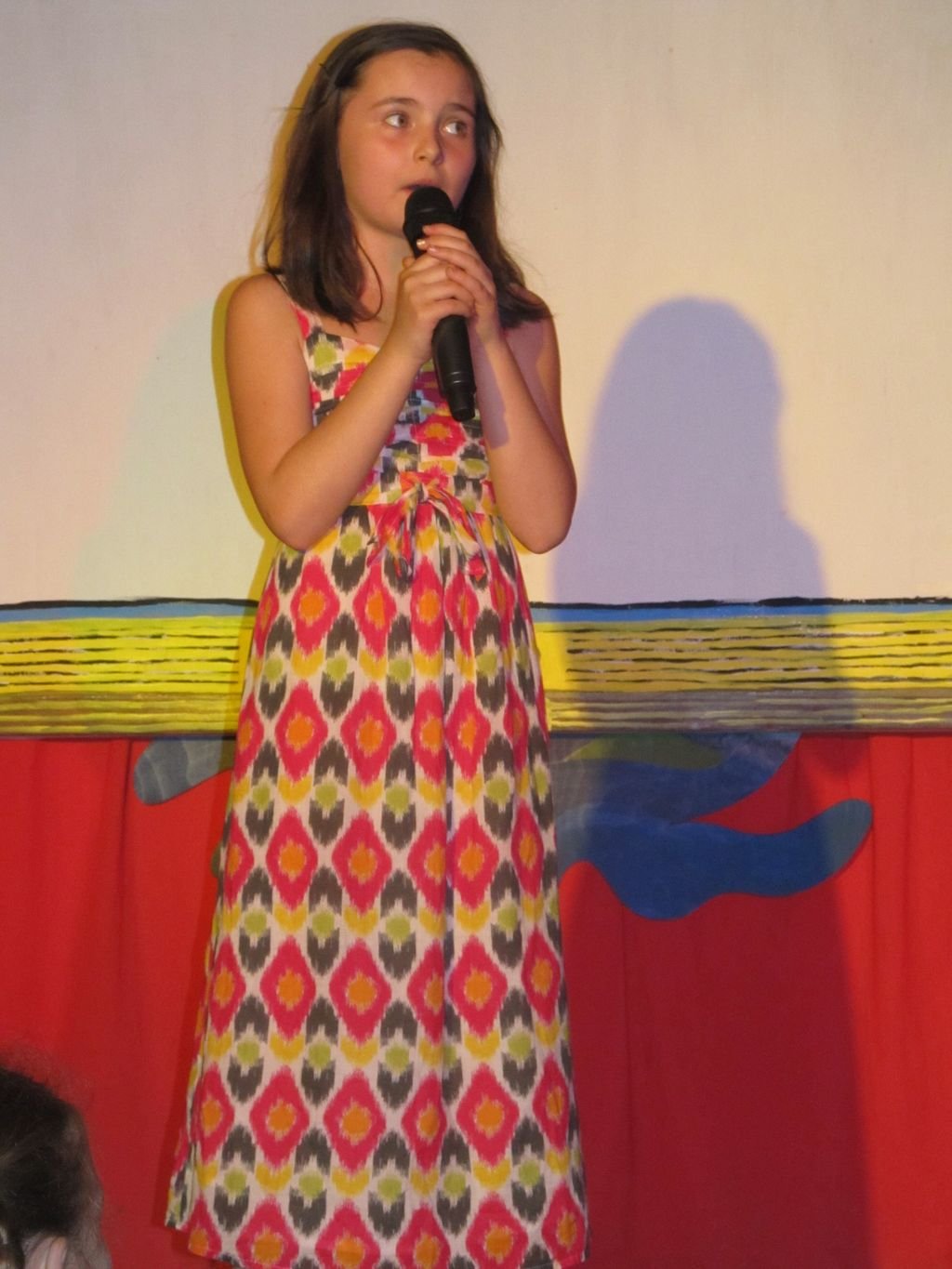 Euroškola - Škola v prírode - prvý stupeň ZŠ (PYP SJ)