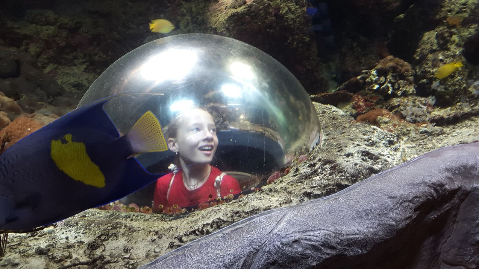 PYP2 in Haus des Meeres