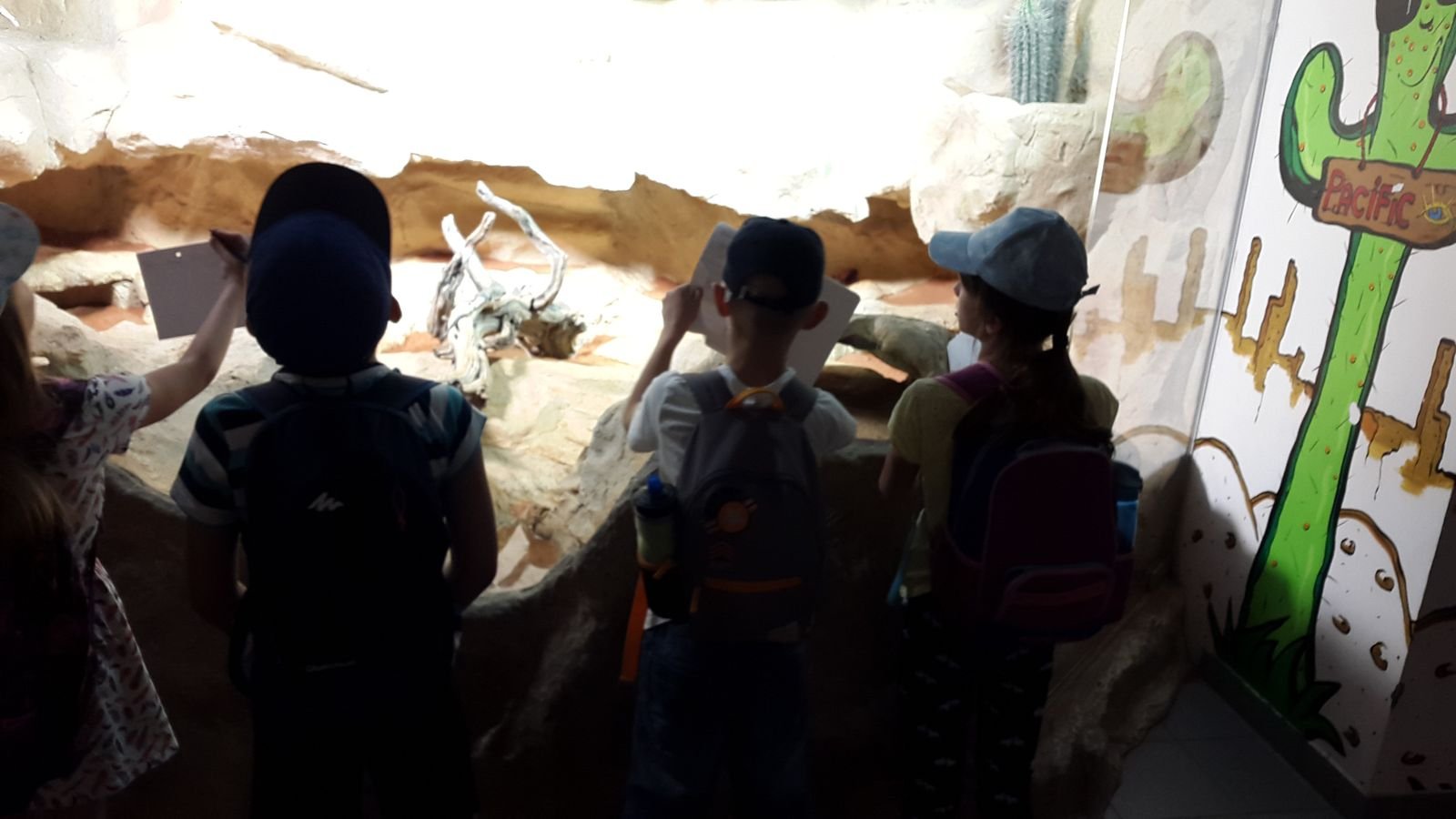 PYP2 in Haus des Meeres