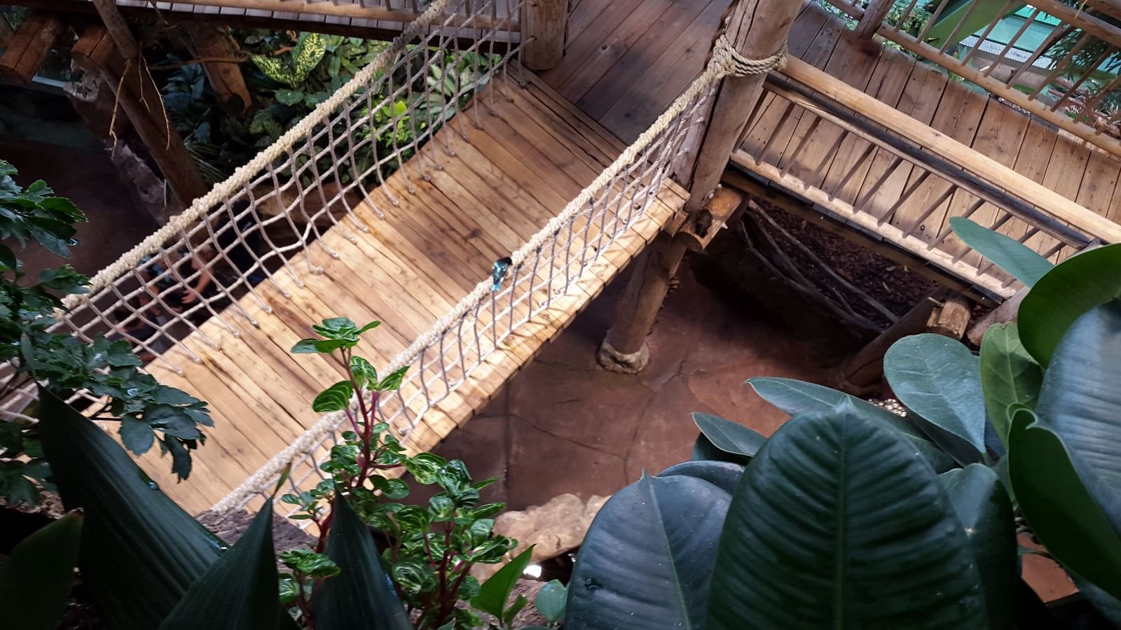 PYP2 in Haus des Meeres