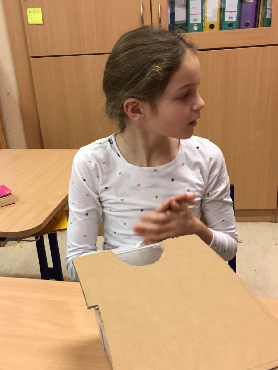 PYP 3 Sharing the planet