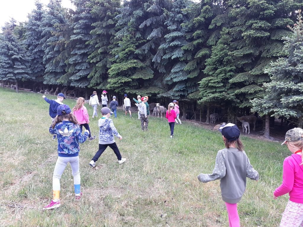 PYP1 - Trip to Farm April 2018