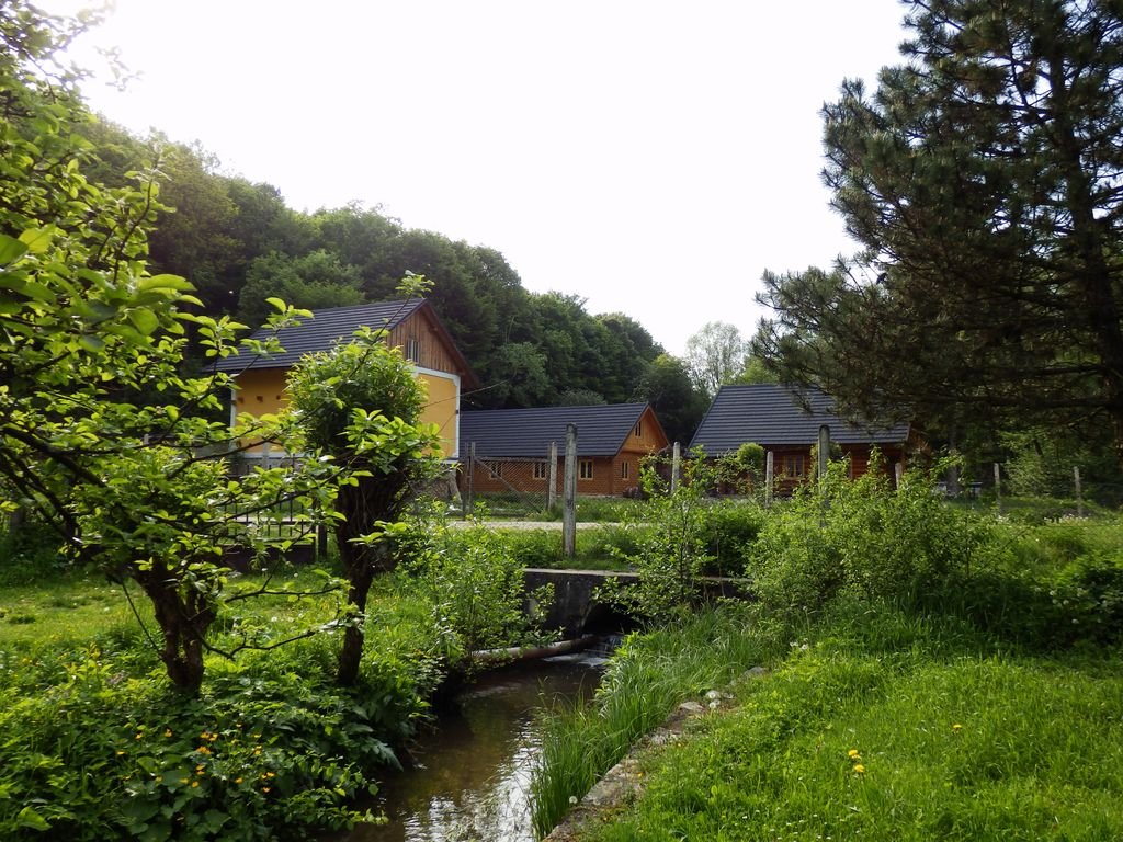 Euroškola - Škola v prírode - prvý stupeň ZŠ (PYP SJ)