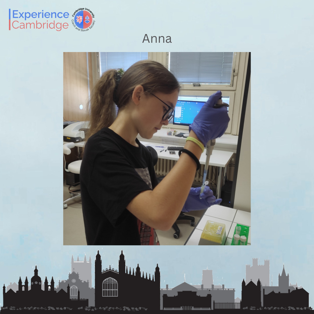 Účasť našej žiačky na Experience Cambridge 2025