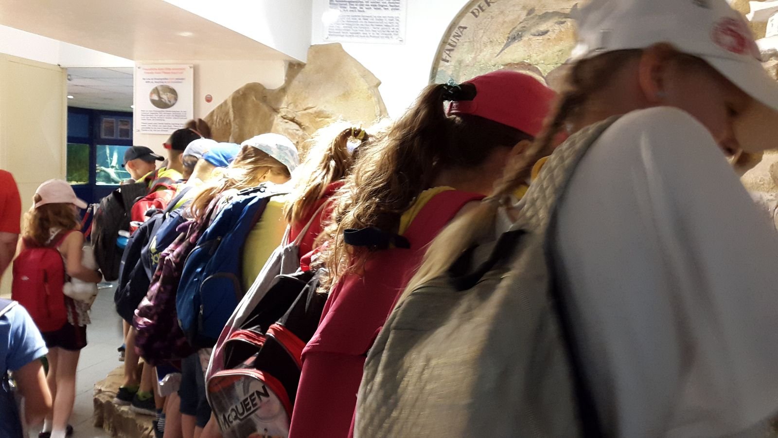 PYP2 in Haus des Meeres