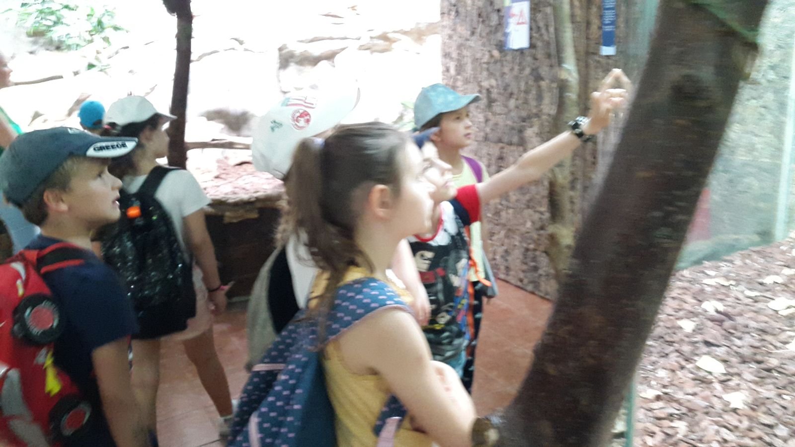 PYP2 in Haus des Meeres