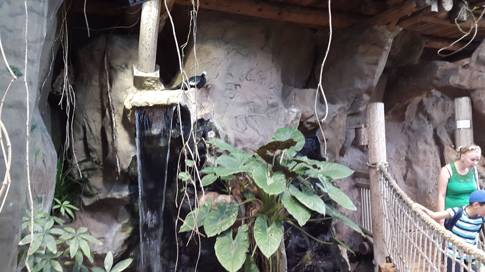 PYP2 in Haus des Meeres