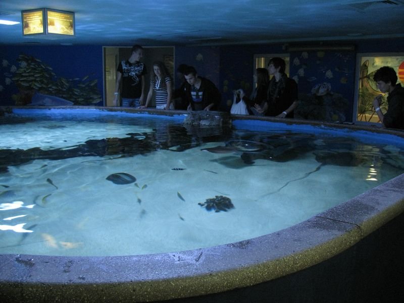 Oceanárium Budapešť