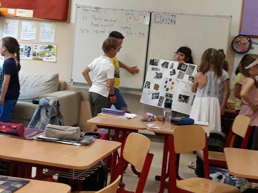 PYP 1 - Inquiry Cycle May 2018