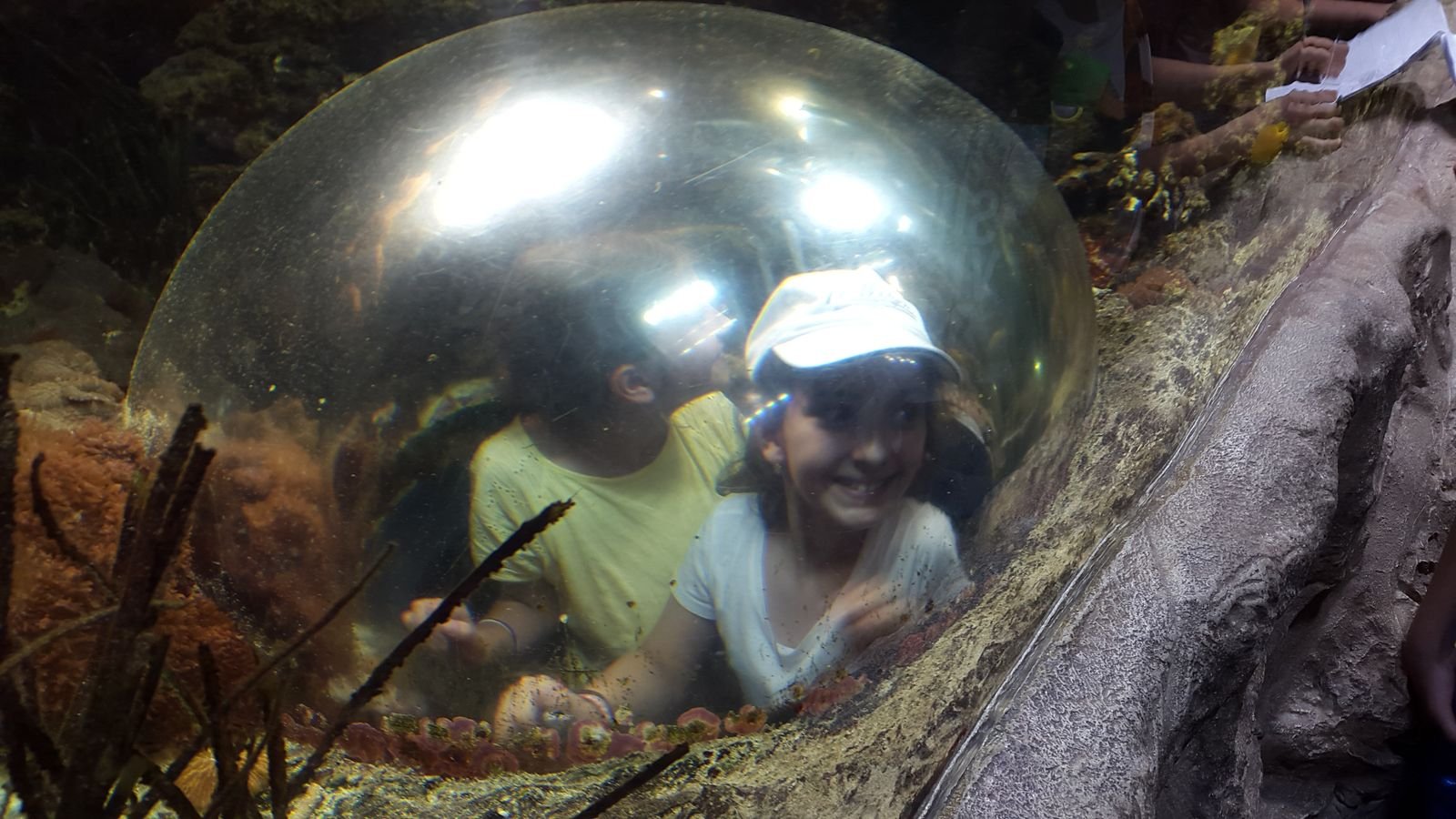 PYP2 in Haus des Meeres