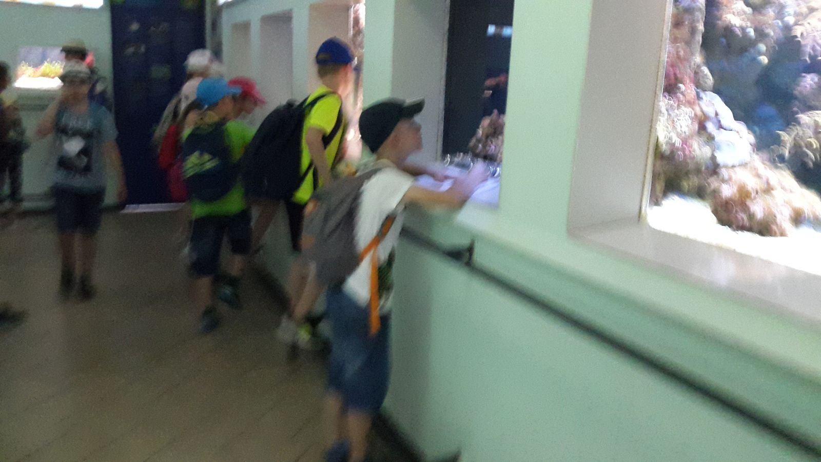 PYP2 in Haus des Meeres