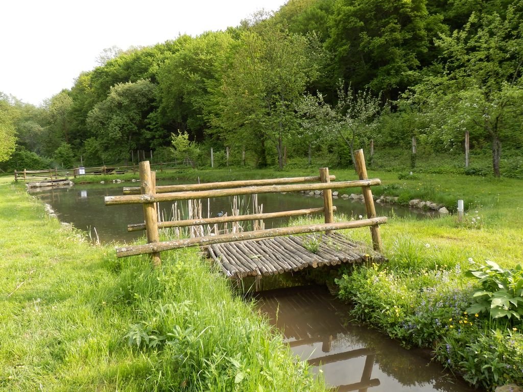 Euroškola - Škola v prírode - prvý stupeň ZŠ (PYP SJ)