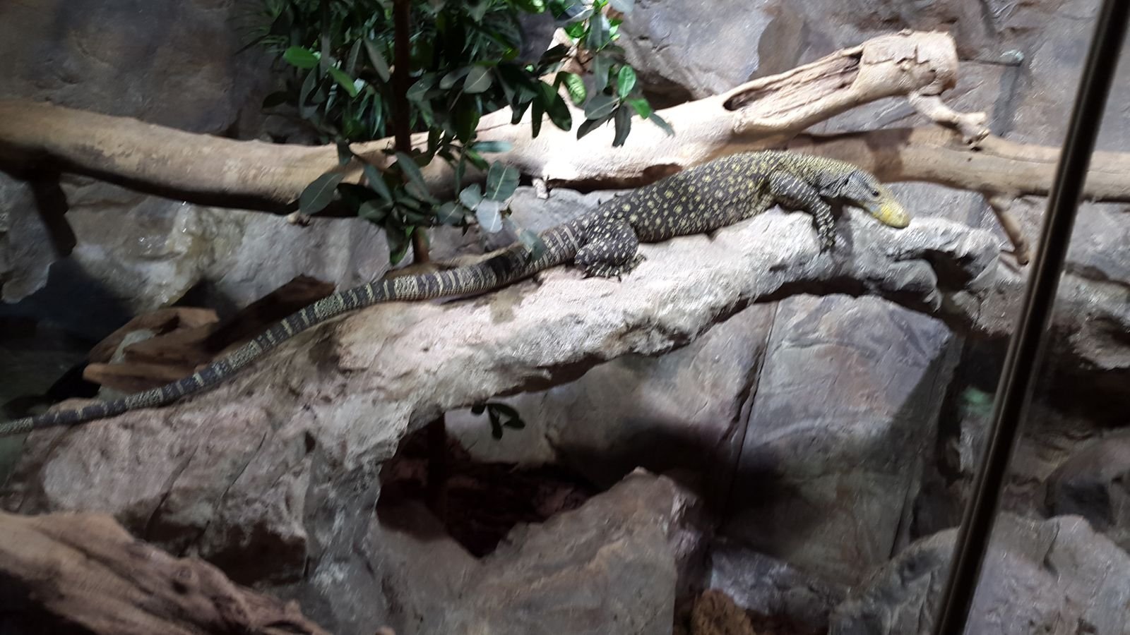 PYP2 in Haus des Meeres