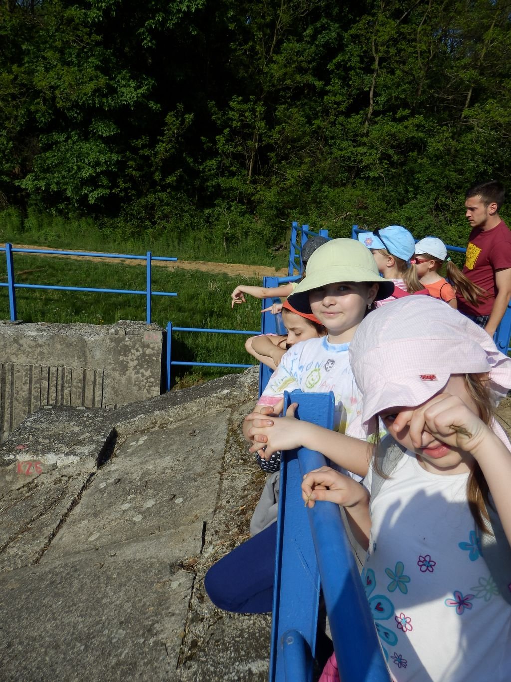 Euroškola - Škola v prírode - prvý stupeň ZŠ (PYP SJ)