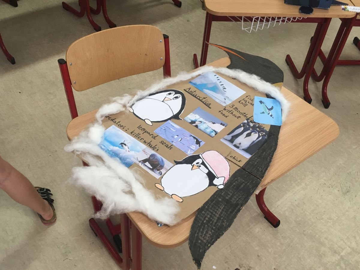 PYP 1 - Sharing the planet June 2018