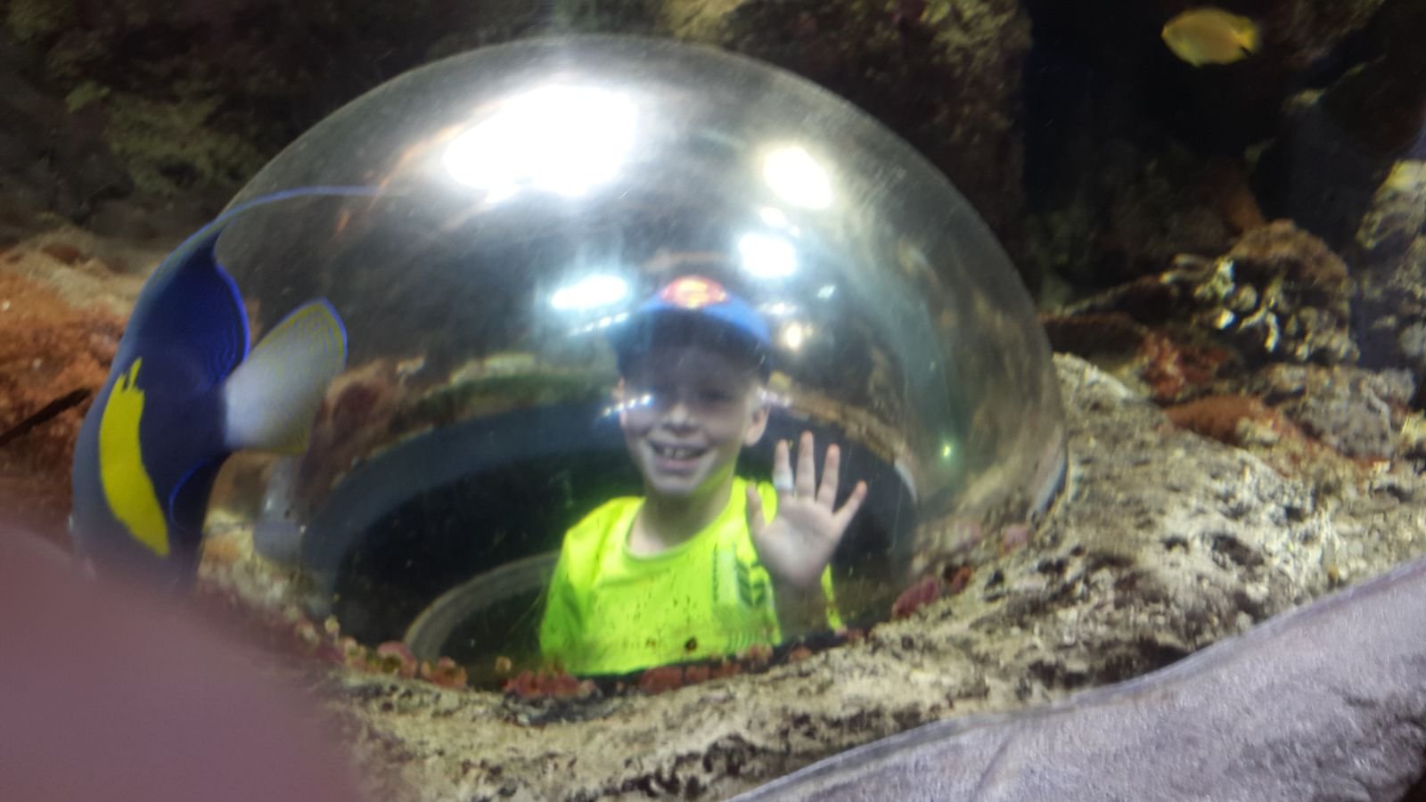 PYP2 in Haus des Meeres