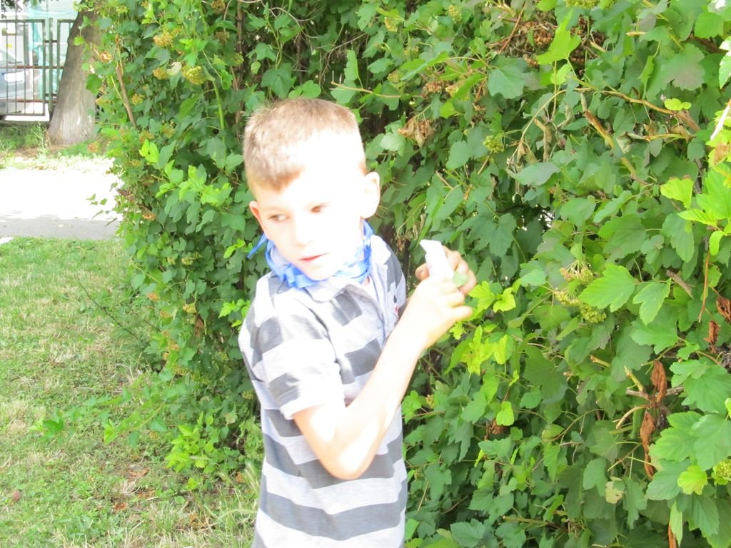 Šašovia a besiedka 1.A