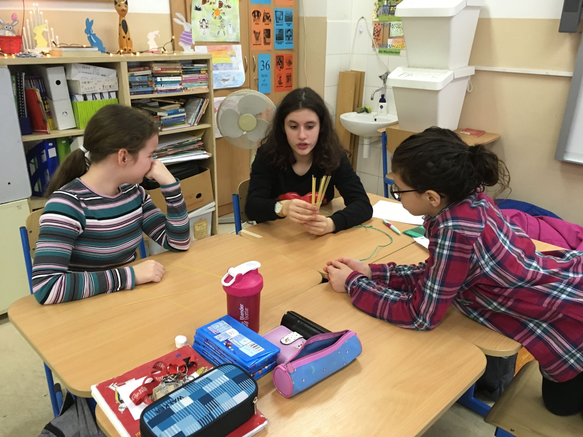 PYP 5 Transciplinary Skills