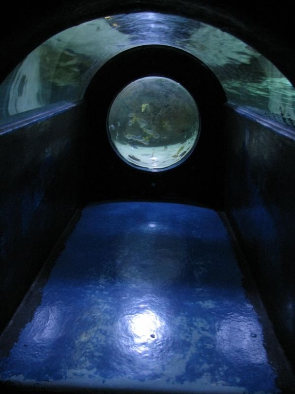 Oceanárium Budapešť