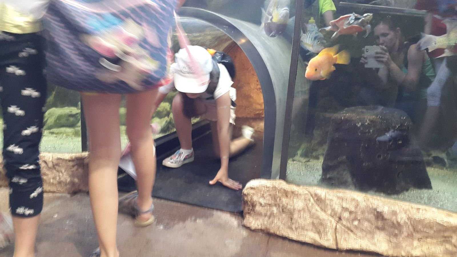 PYP2 in Haus des Meeres