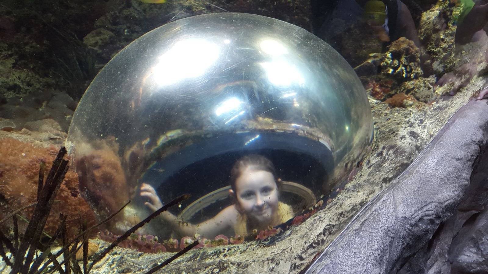 PYP2 in Haus des Meeres