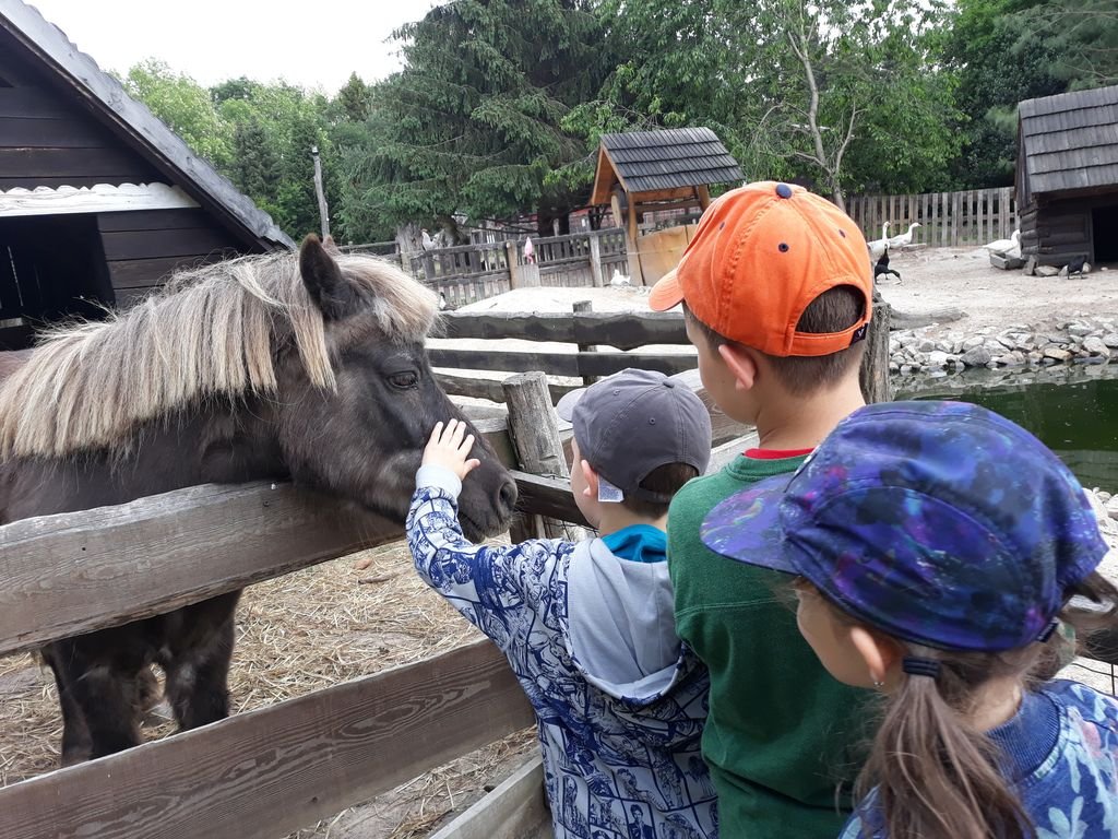 PYP1 - Trip to Farm April 2018