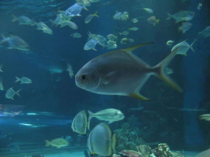 Oceanárium Budapešť