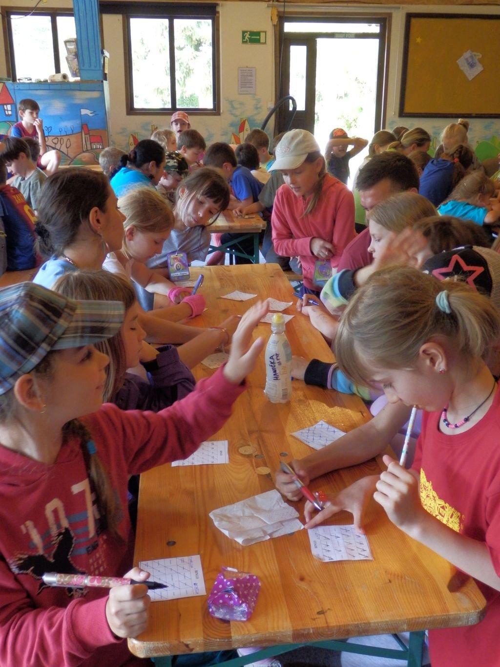 Euroškola - Škola v prírode - prvý stupeň ZŠ (PYP SJ)