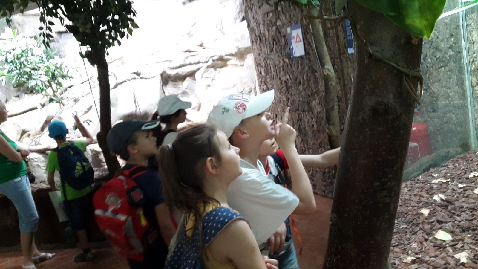 PYP2 in Haus des Meeres