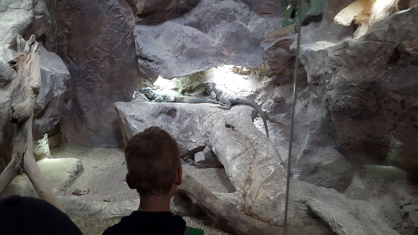 PYP2 in Haus des Meeres