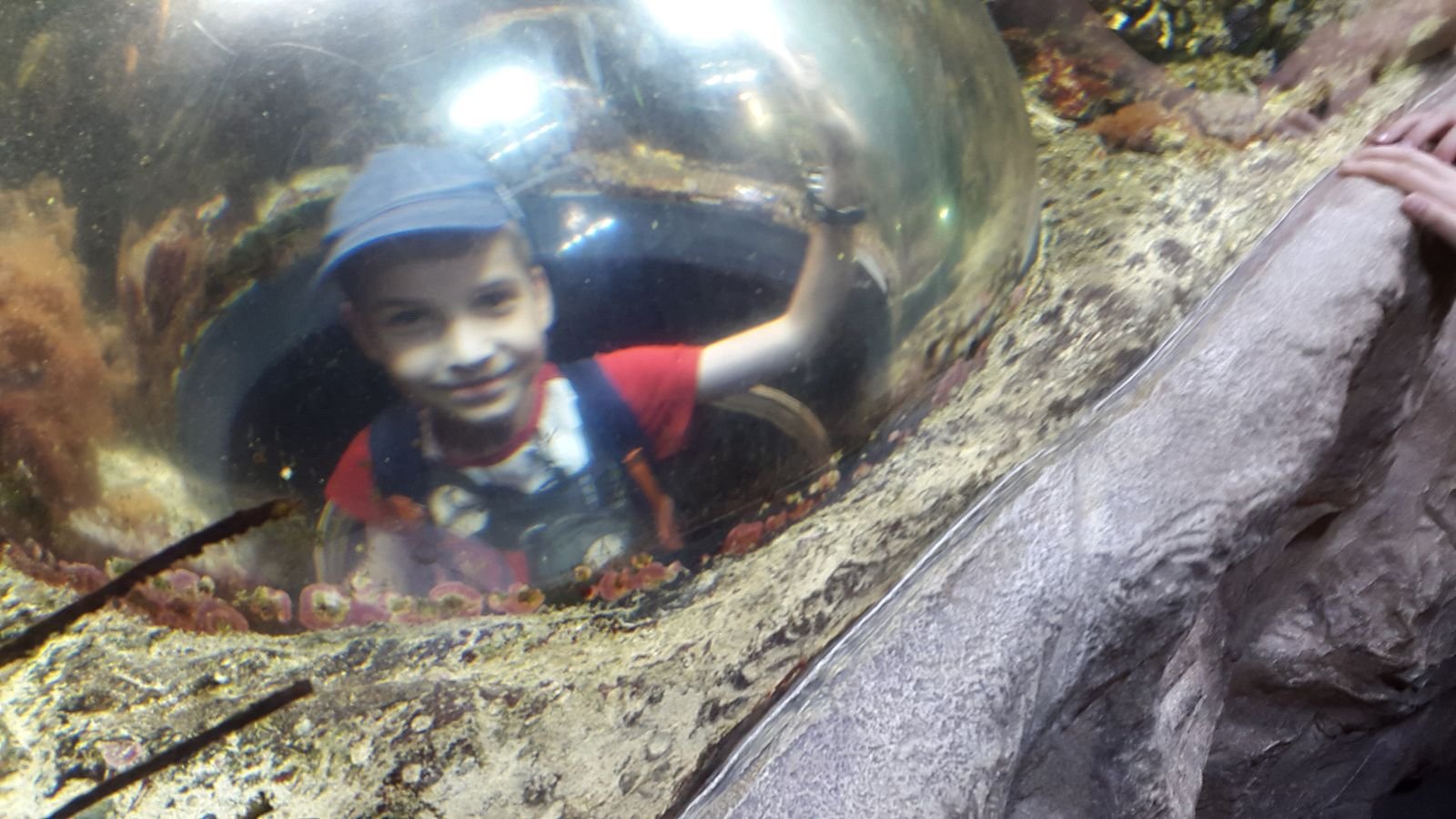 PYP2 in Haus des Meeres