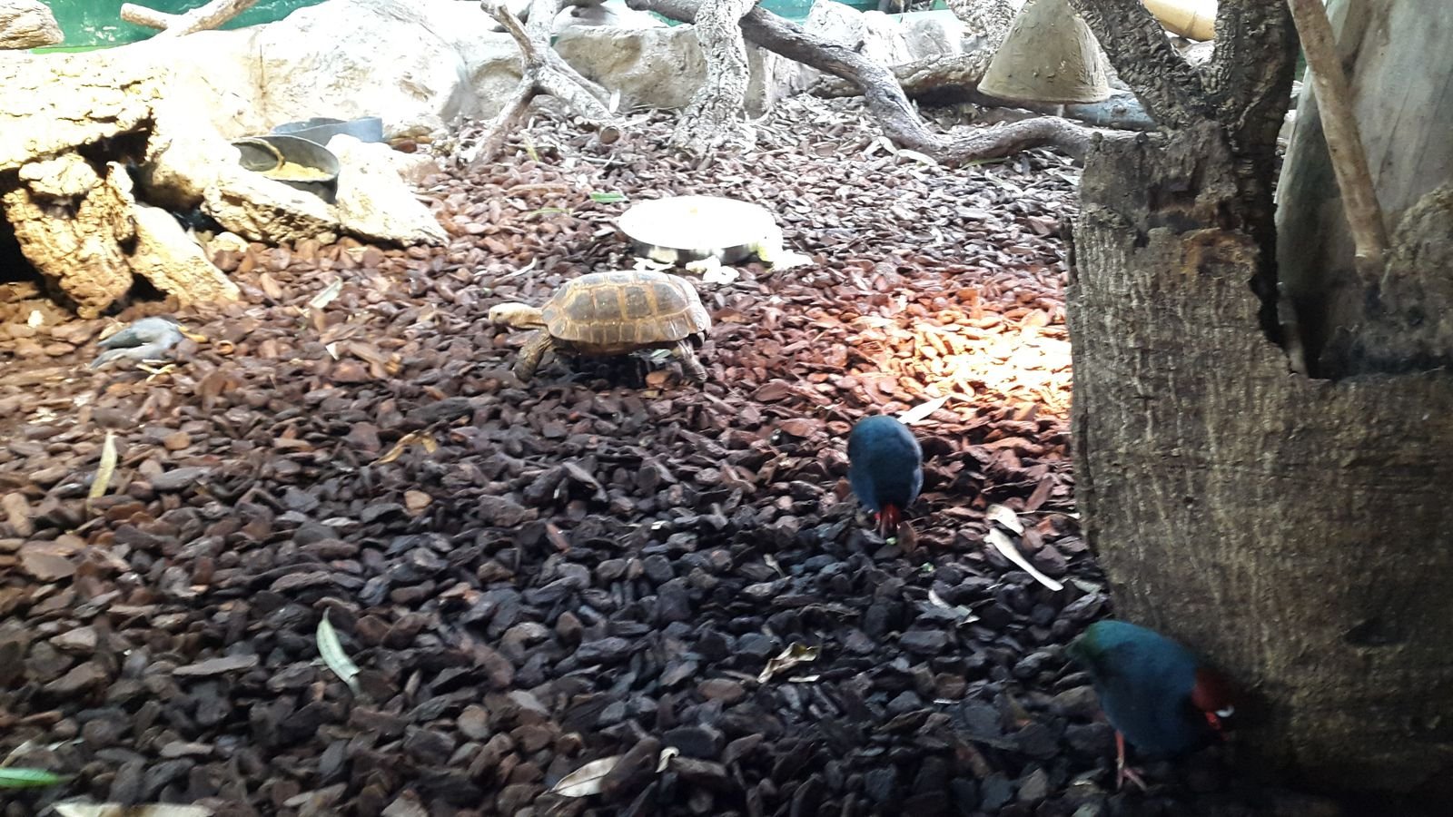 PYP2 in Haus des Meeres