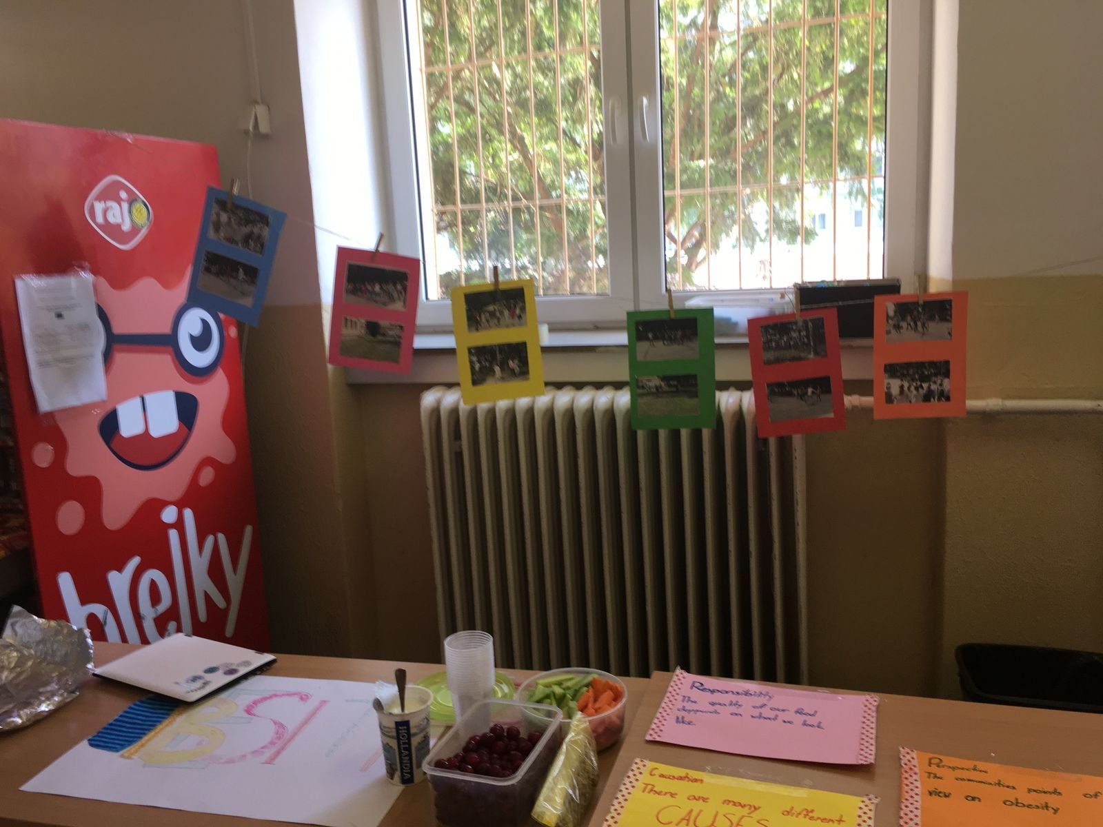 PYP 5 Exhibition Day June 2018