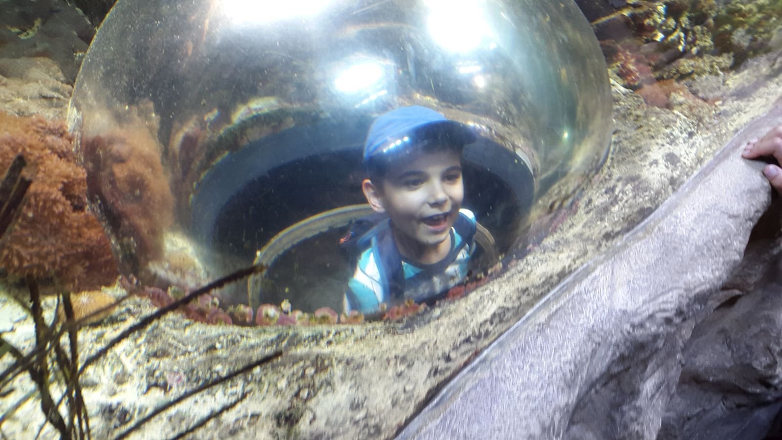 PYP2 in Haus des Meeres