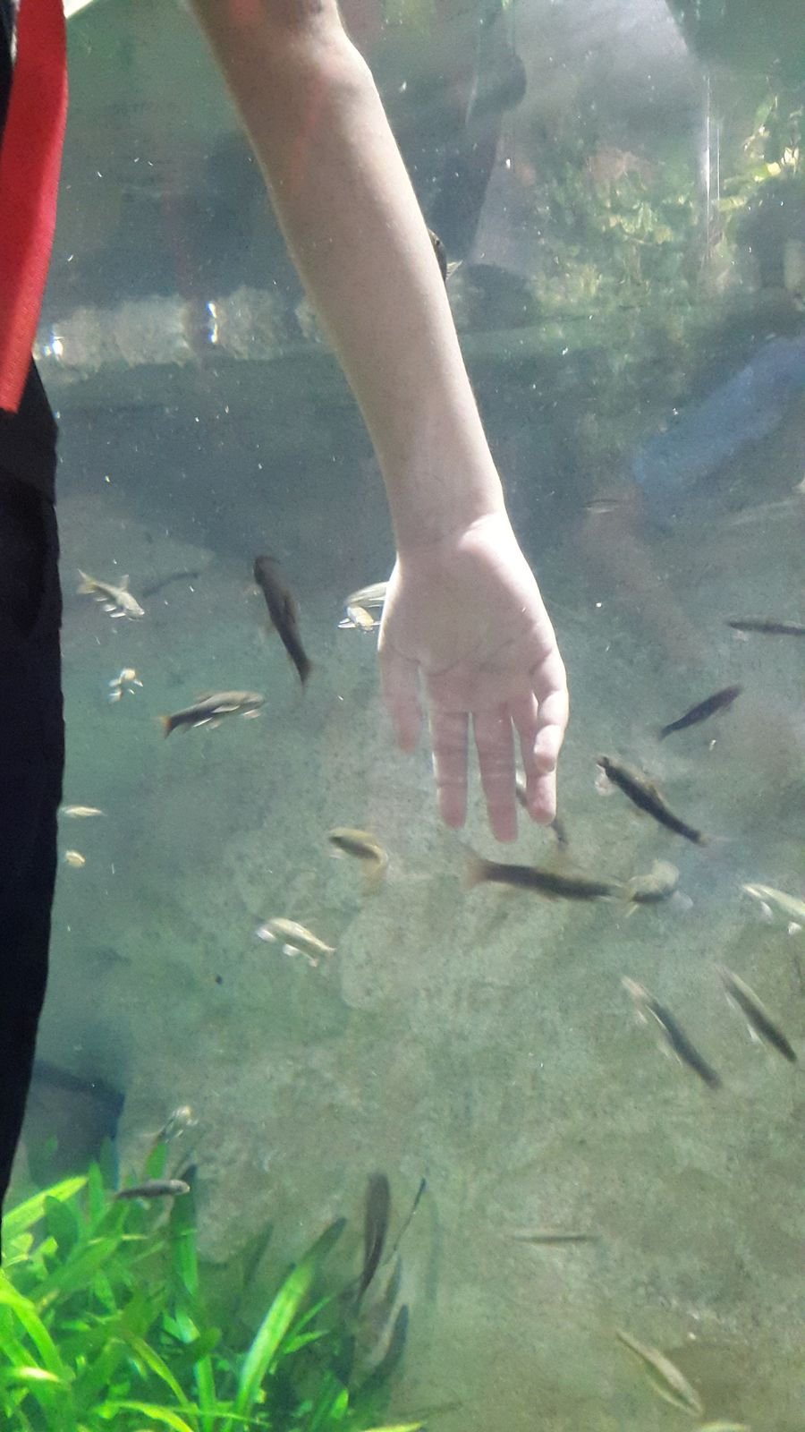 PYP2 in Haus des Meeres