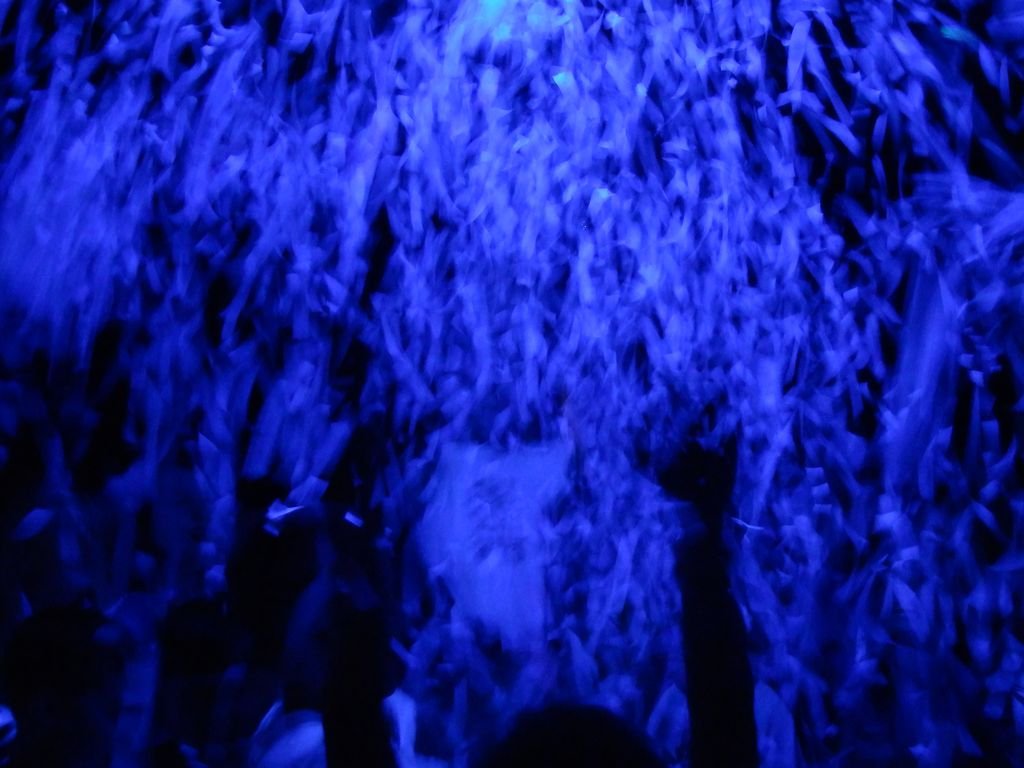 Euroškola - Škola v prírode - prvý stupeň ZŠ (PYP SJ)