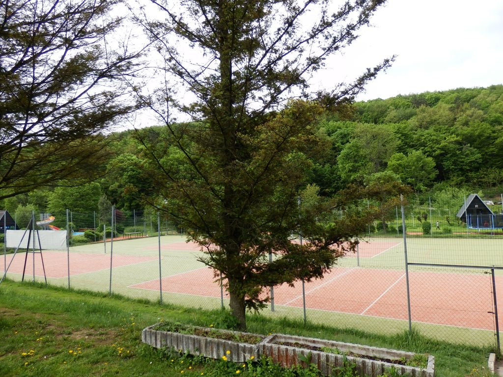 Euroškola - Škola v prírode - prvý stupeň ZŠ (PYP SJ)