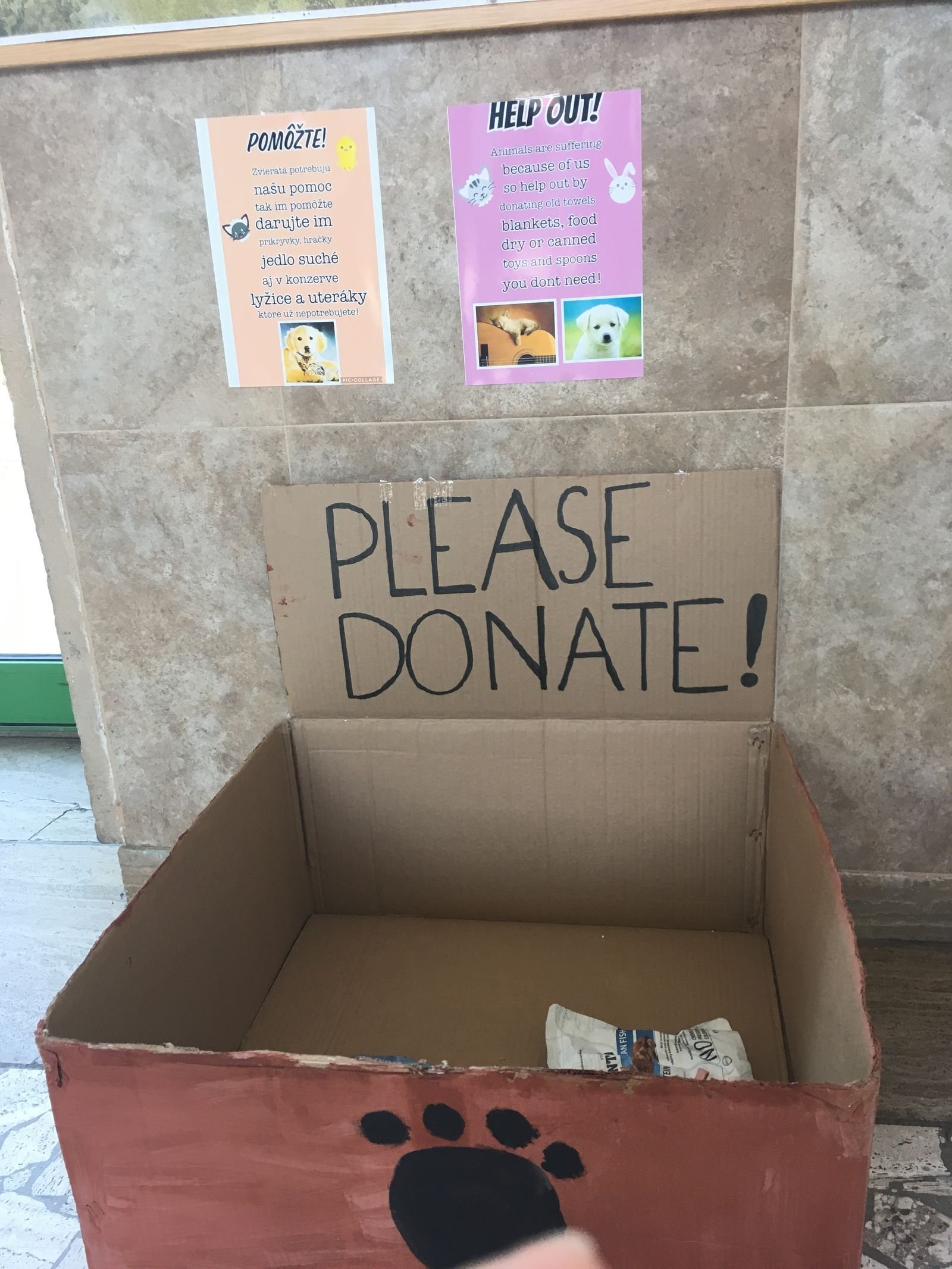 PYP 5 Exhibition Day June 2018