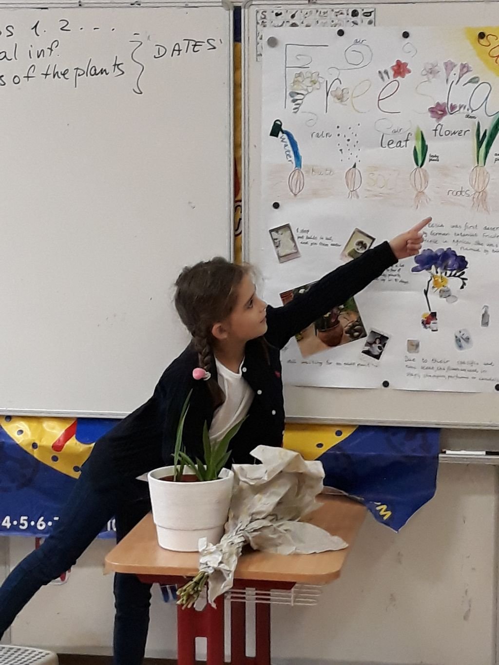 PYP 1 Presentation about plants May 2018