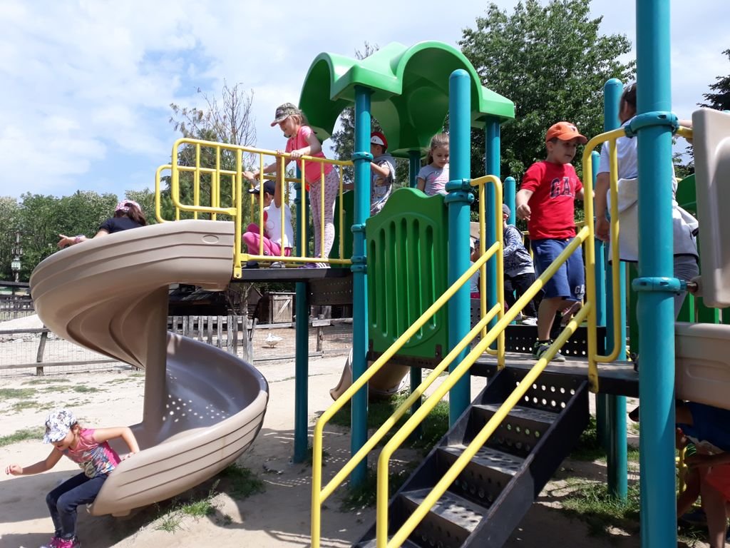 PYP1 - Trip to Farm April 2018