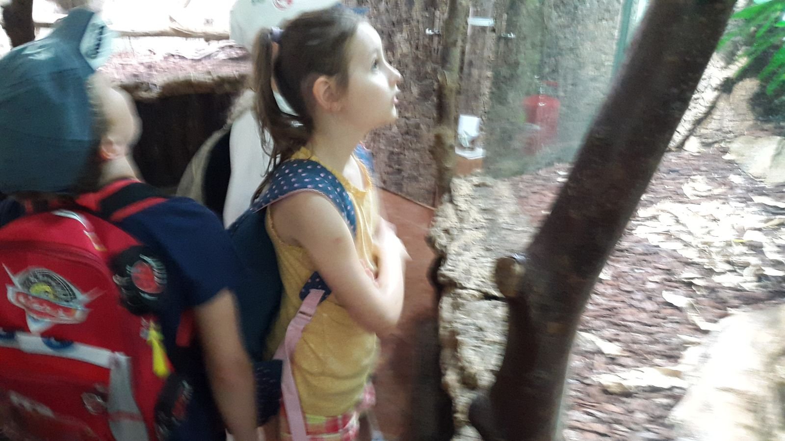 PYP2 in Haus des Meeres