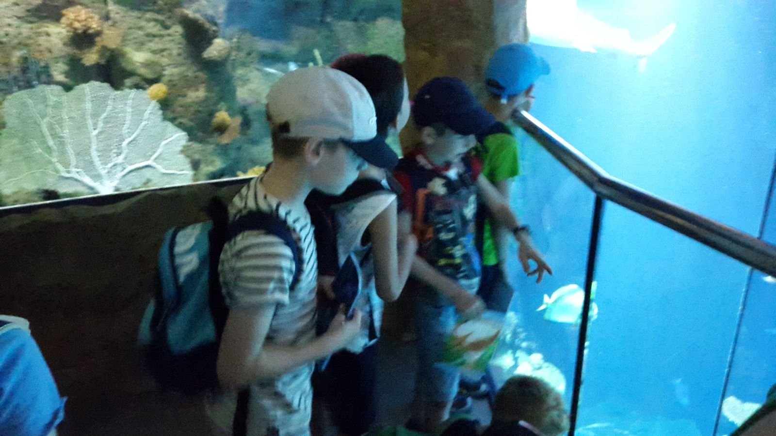 PYP2 in Haus des Meeres