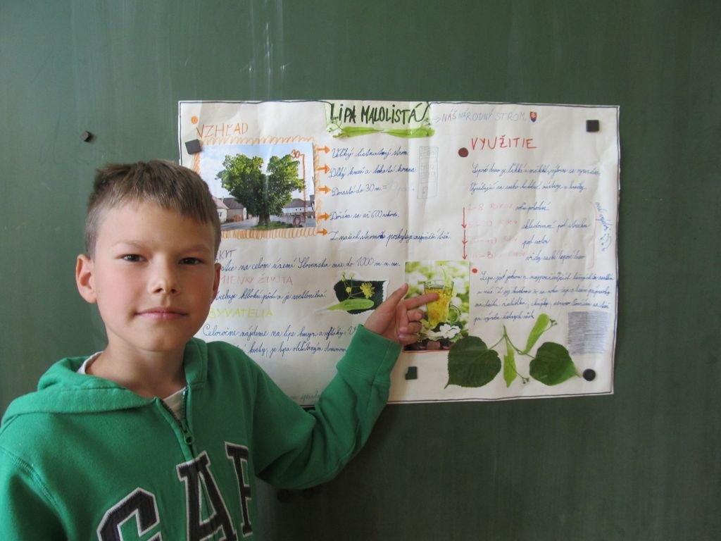 Škola v prírode
