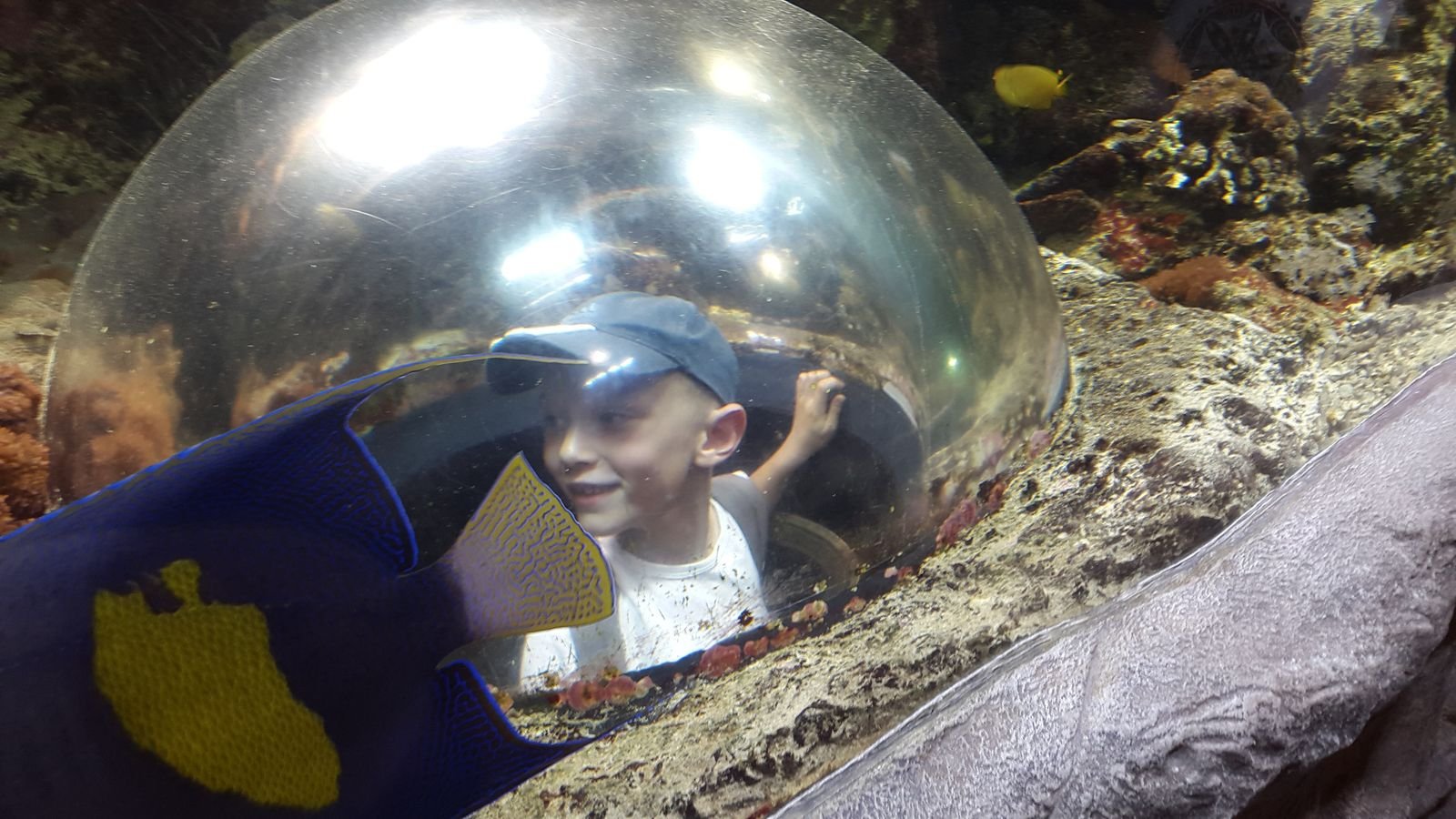 PYP2 in Haus des Meeres